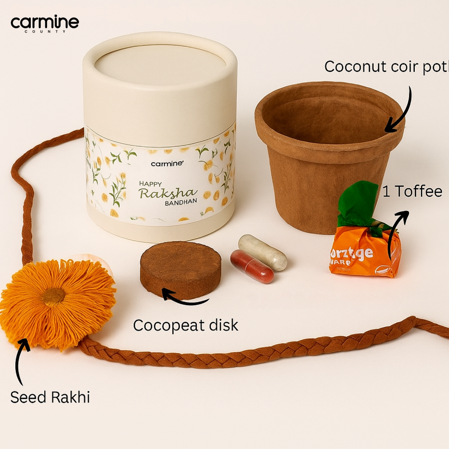 Eco-Friendly Plantable Seed Rakhi | Handmade, Biodegradable & Grows Into a Plant
