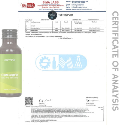 Moncara Natural Mithaas | Monk Fruit based Liquid Extract | 100% Plant-Based, Low Calorie Sugar Replacer | Zero Glycemic Index | Keto & Diabetic Friendly
