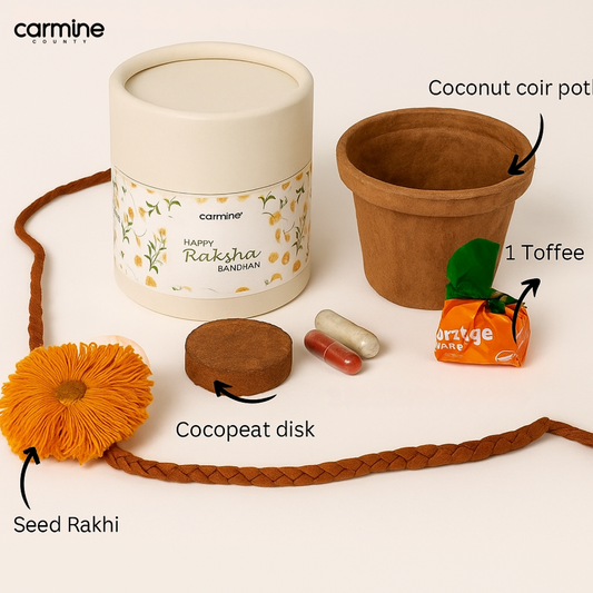 Eco-Friendly Plantable Seed Rakhi | Handmade, Biodegradable & Grows Into a Plant